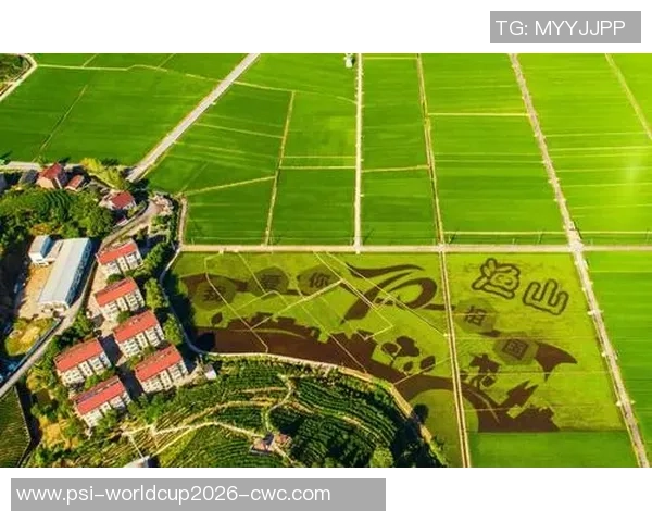 贵阳兴黔足球崛起之路探索地方足球发展新模式与未来愿景 贵阳兴黔足球崛起之路探索地方足球发展新模式与未来愿景